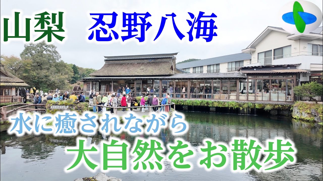 【癒し】水に癒されながら大自然をお散歩します