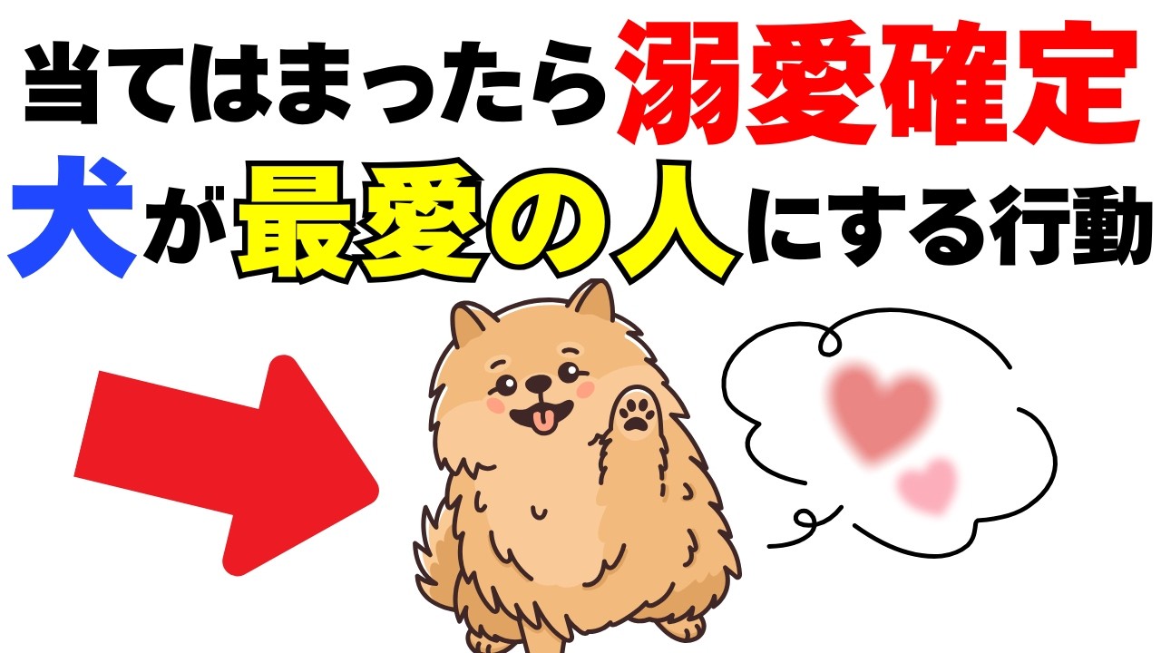 【いくつ当てはまる??】犬が溺愛している人にだけ見せる行動１１選｜犬の厳選雑学