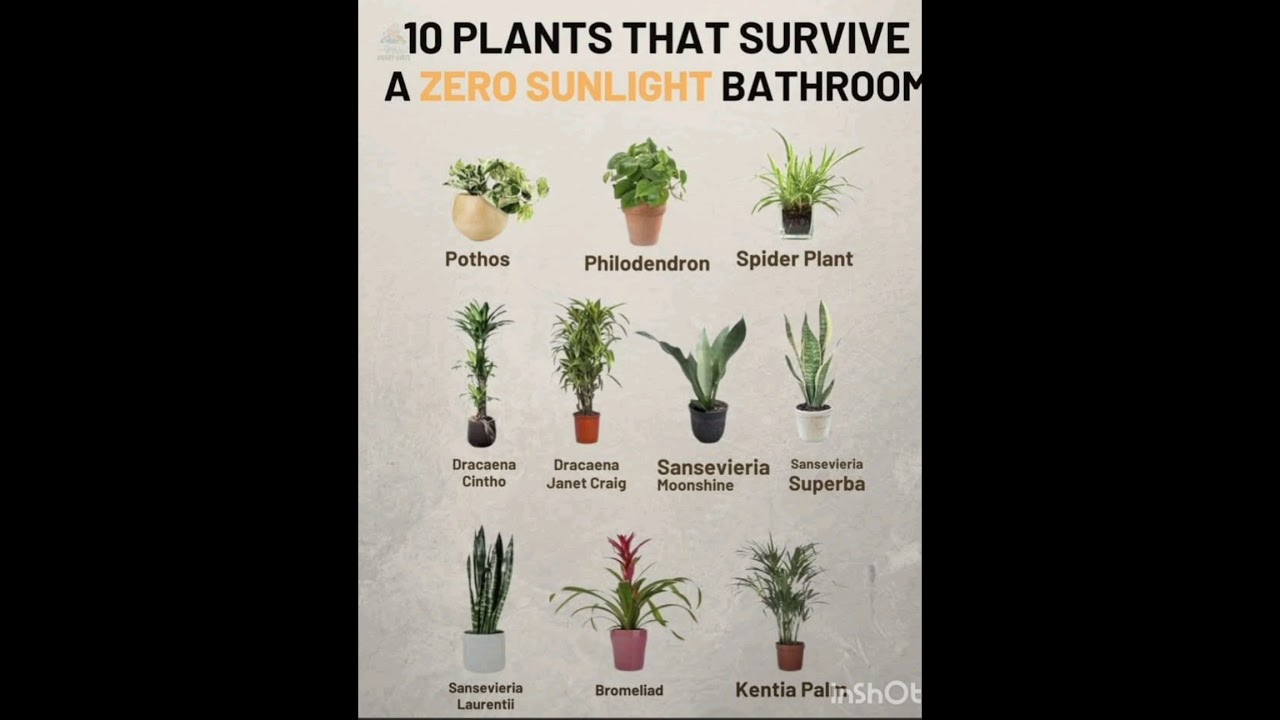 #Plants