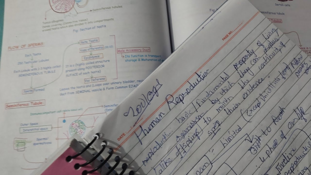 Frustrated by teacher selection again in 2025!💀 120 days left for neet exam | 