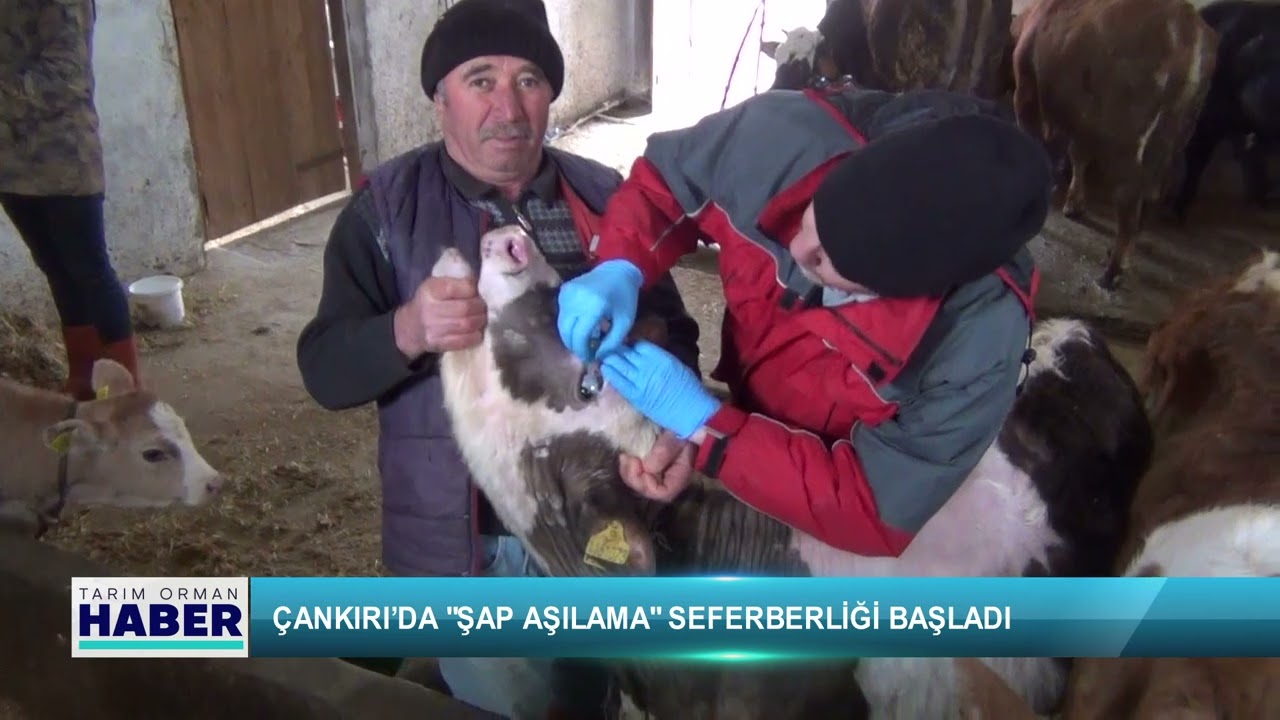 Çankırı’da 