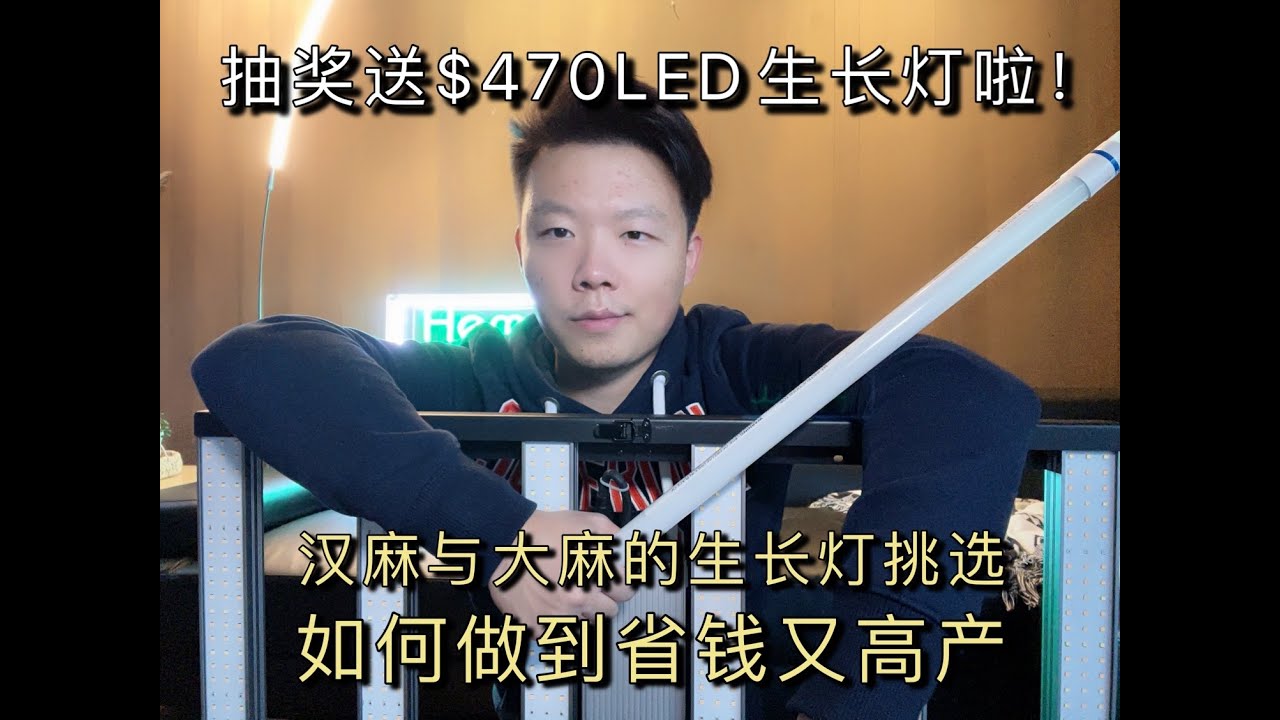 种植新手如何选择生长灯？ 4种常见生长灯的对比与区别 | 抽奖送￥470美金的半专业LED生长灯啦！