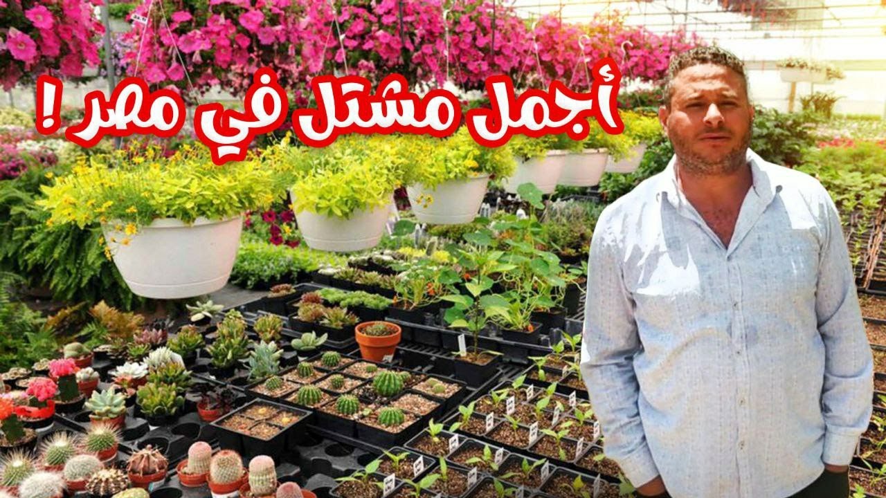 اسعار النباتات /افضل مشتل فى مصر