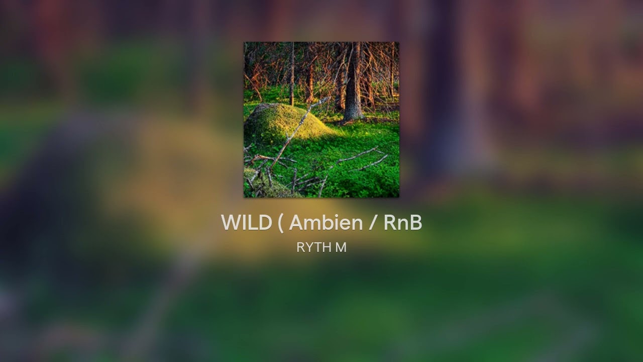 WILD ( Ambien / RnB