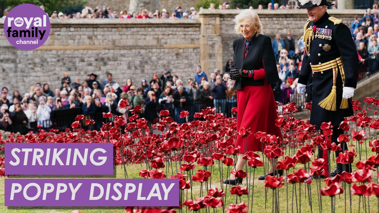 Queen Camilla's Special Visit to New Poppy Memorial at Tower of London