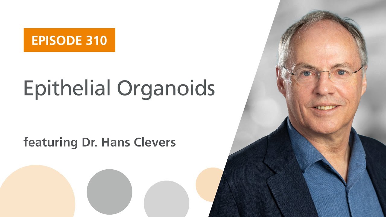 Epithelial Organoids featuring Dr. Hans Clevers | The Stem Cell Podcast