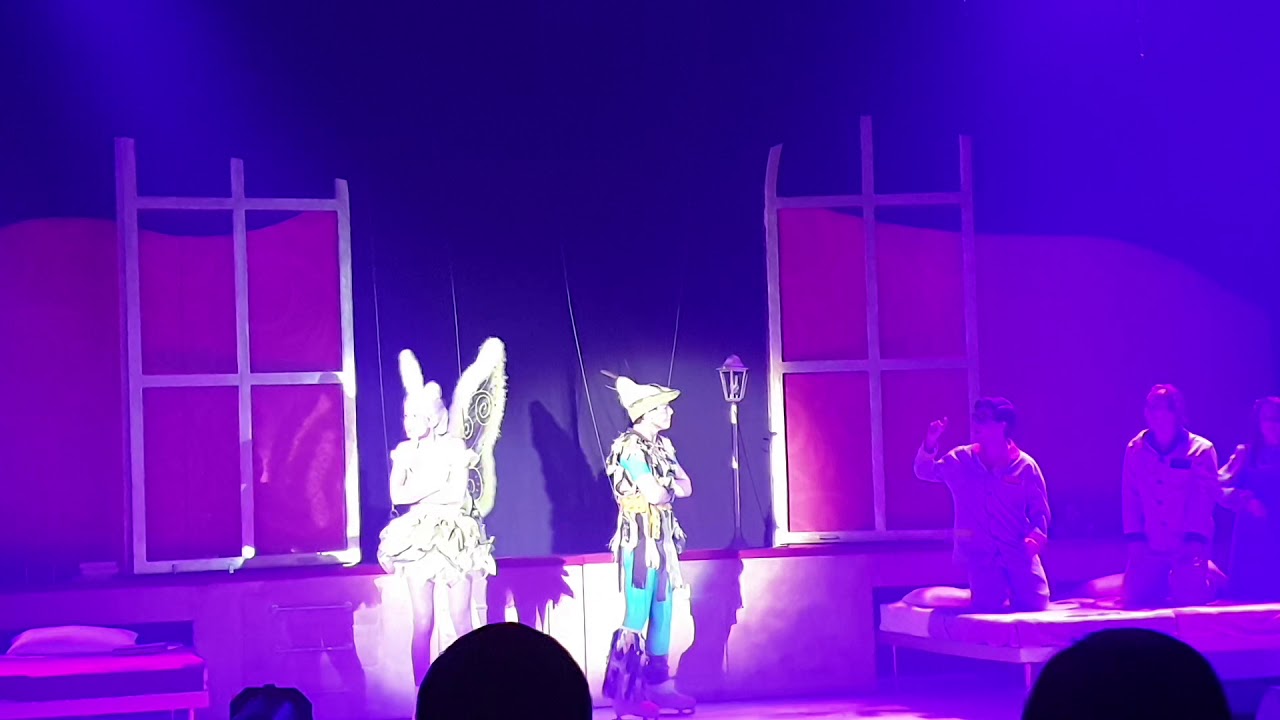 Peter Pan no Gelo Mar shopping 2019