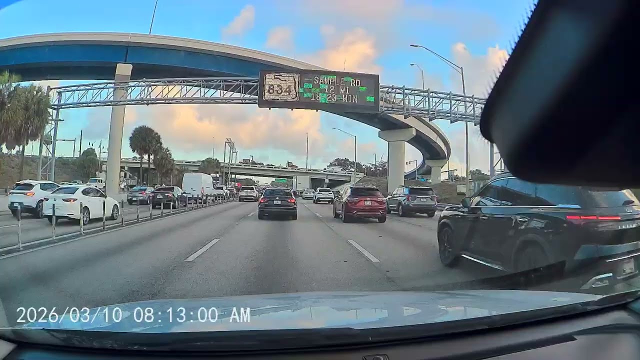Only in Florida: The Most Unreal Highway Moment Ever Recorded