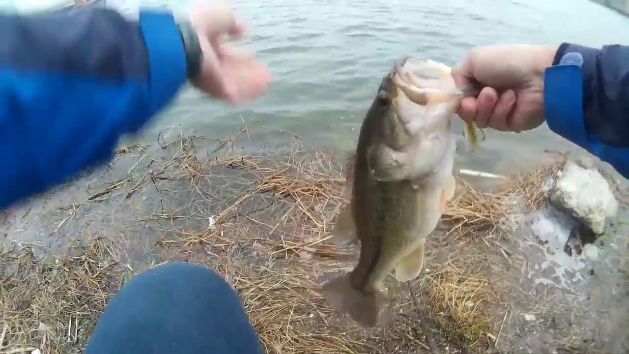 spring bass fishing | south korea bass fishing
