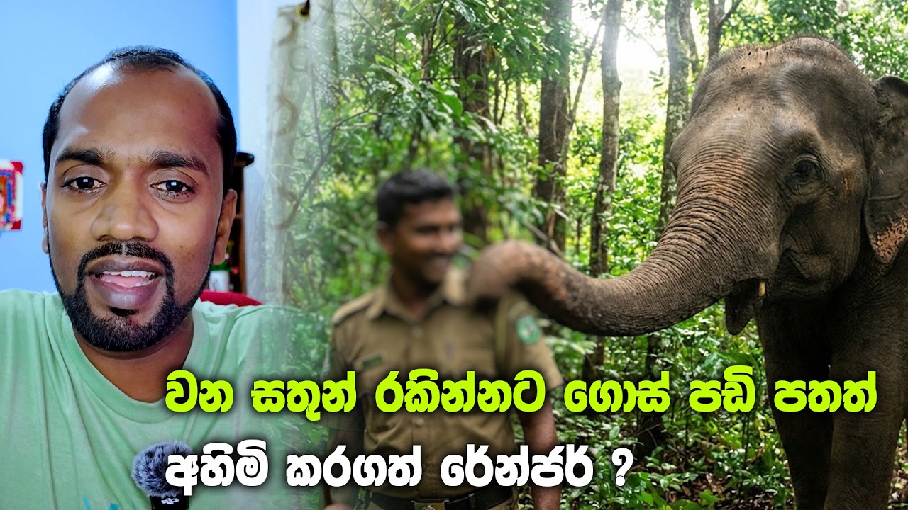 වන සතුන් රකින්නට ගොස් පඩි පතත් අහිමි කරගත් රේන්ජර් ?