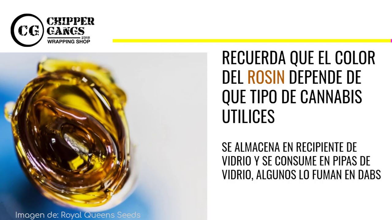 &iquest;QU&Eacute; es el ROSIN🧟 y como se HACE?🚀 🔥  (colofonia extracci&oacute;n de resina) 2020