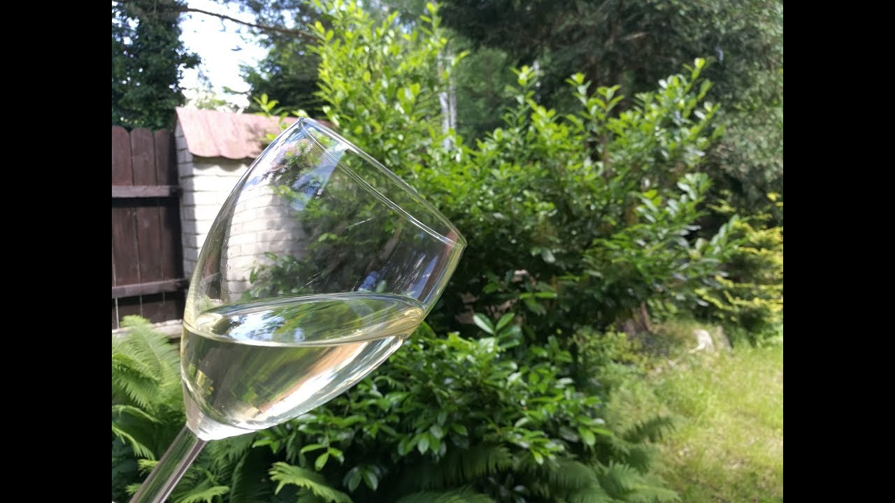 Praktyka u Praktyka - Wino z Kwiatów Czarnego Bzu