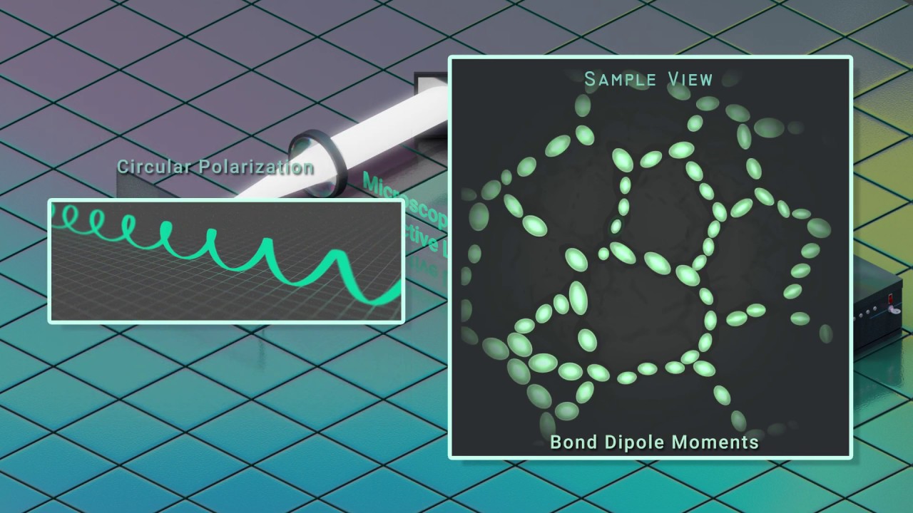 Microscopy Principals: Second Harmonic Generation with Polarization