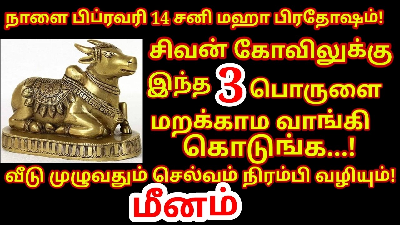 Feb 14 சனி மஹா பிரதோஷம் அன்று வாங்க வேண்டிய பொருள்கள் ஒரே நாளில் ஓஹோன்னு வாழ்க்கை|#meenam rasi
