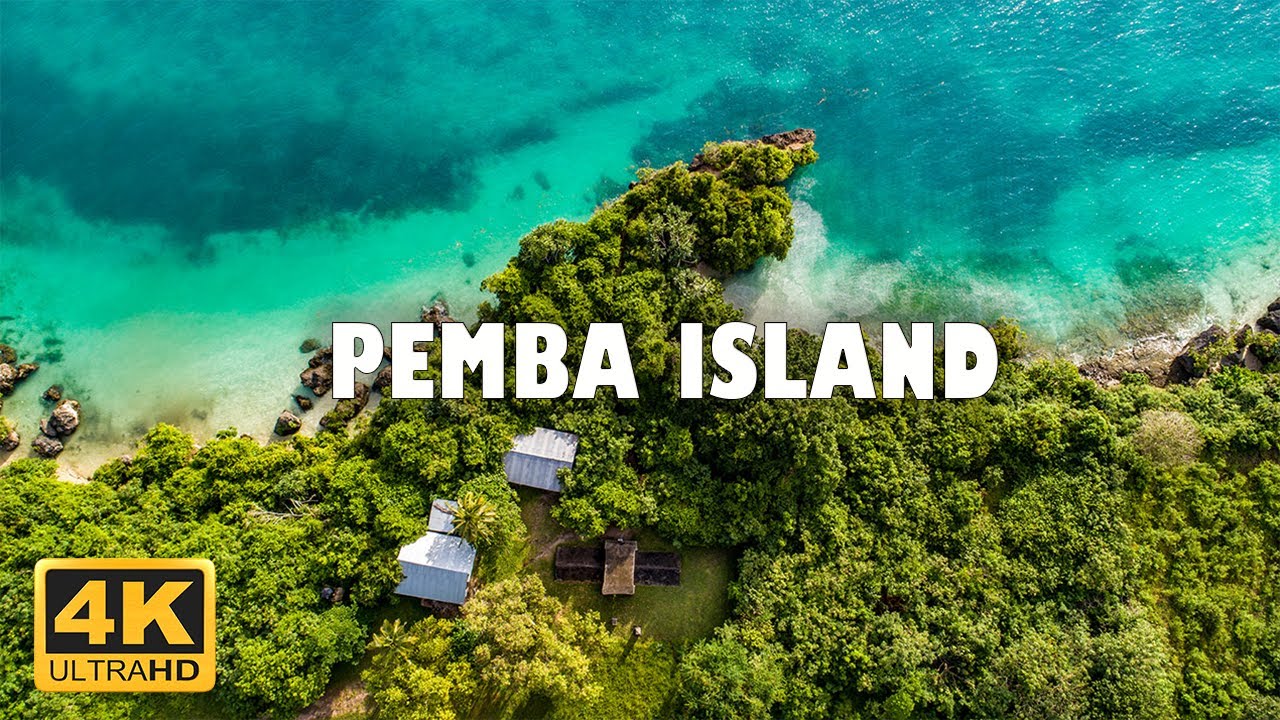 Pemba island, Zanzibar, Tanzania 🇹🇿 | 4K Drone Footage