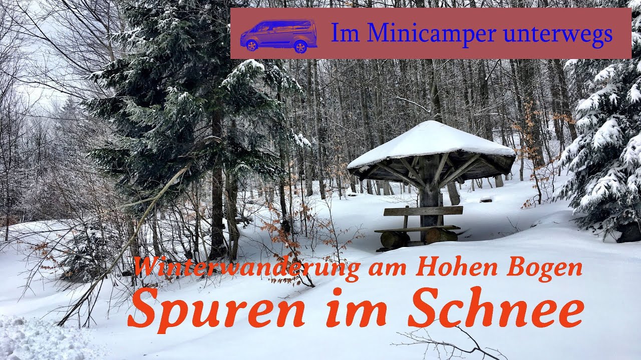 Winterwanderung am Hohen Bogen - Spuren im Schnee
