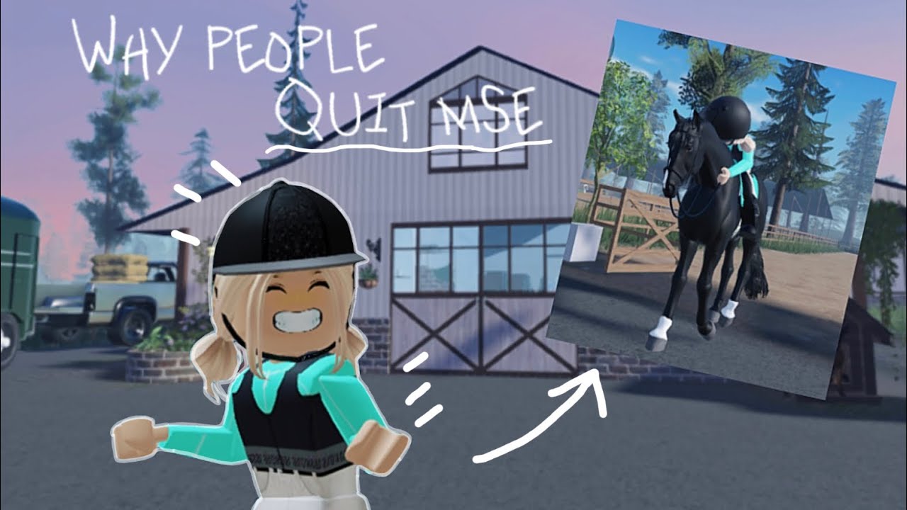 WHY DO PEOPLE QUIT MSE?? *explained*