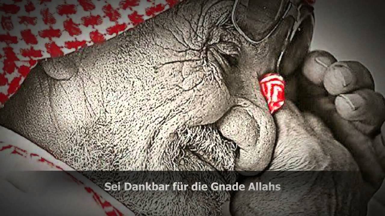Abu Ubayda - Sei Dankbar für die Gnade Allahs (HD)