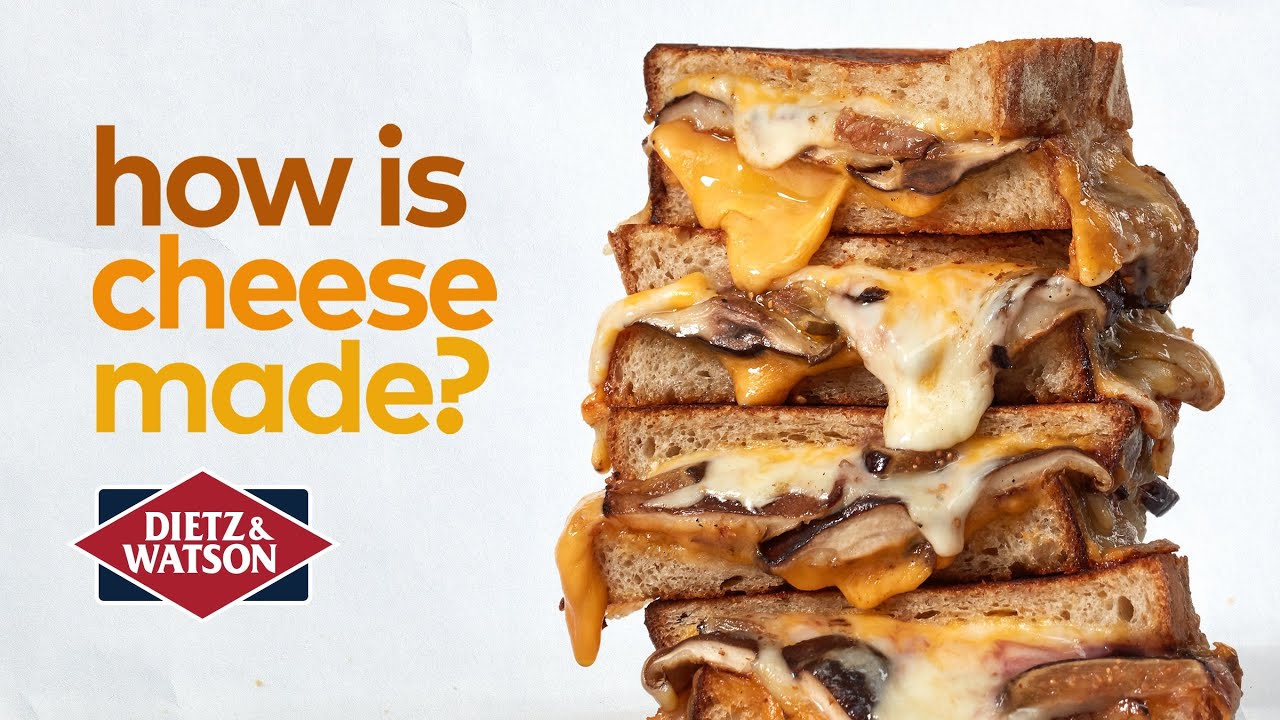 How is Cheese Made? We're Glad You Asked.