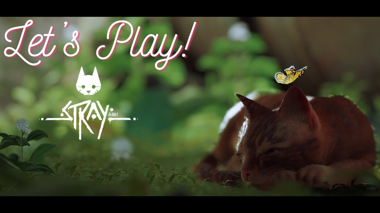 I LOVE This Game | Stray, Part 1 [Twitch VOD]