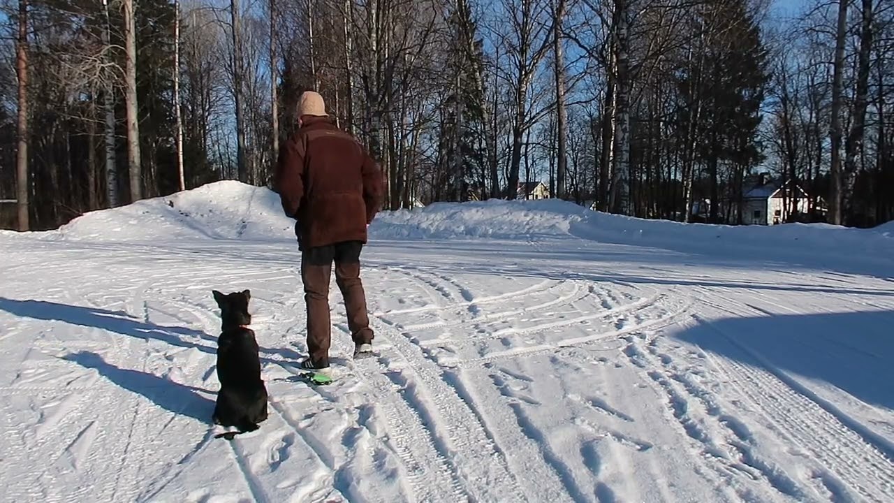 2026-02-16 Oopsi apport mm vinter