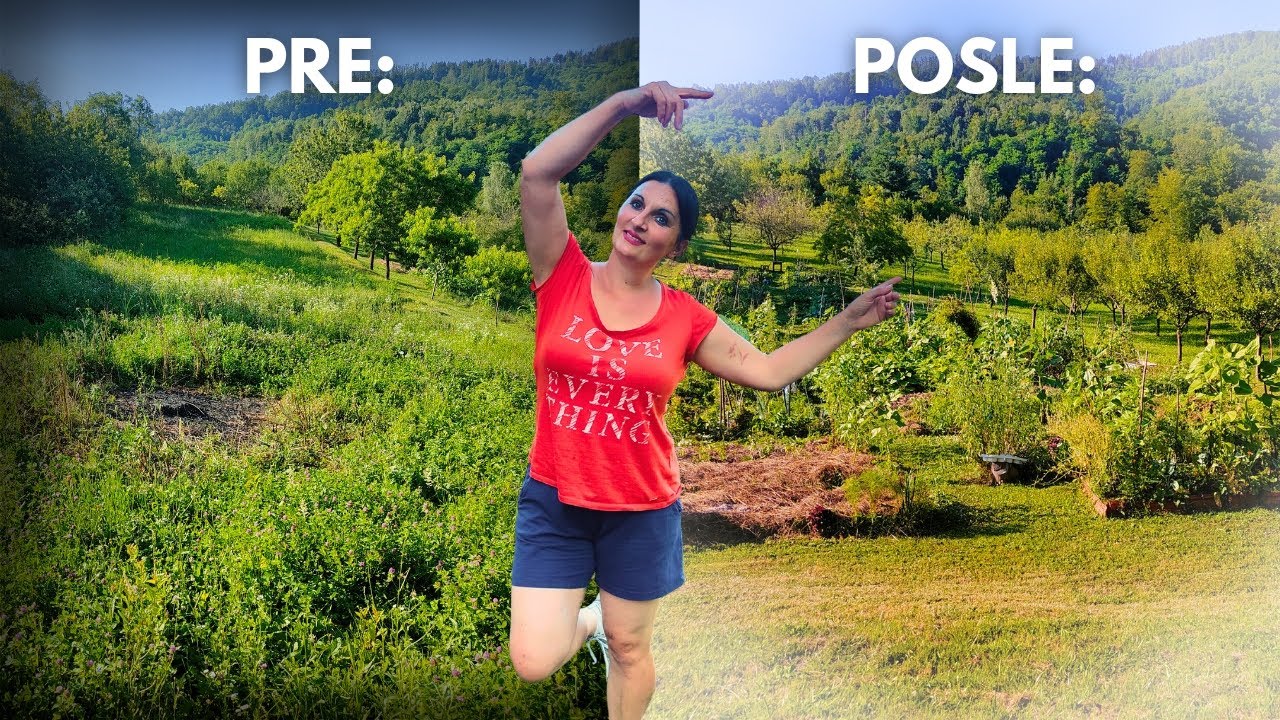 4 важных совета - От луга к саду: руководство для начинающих