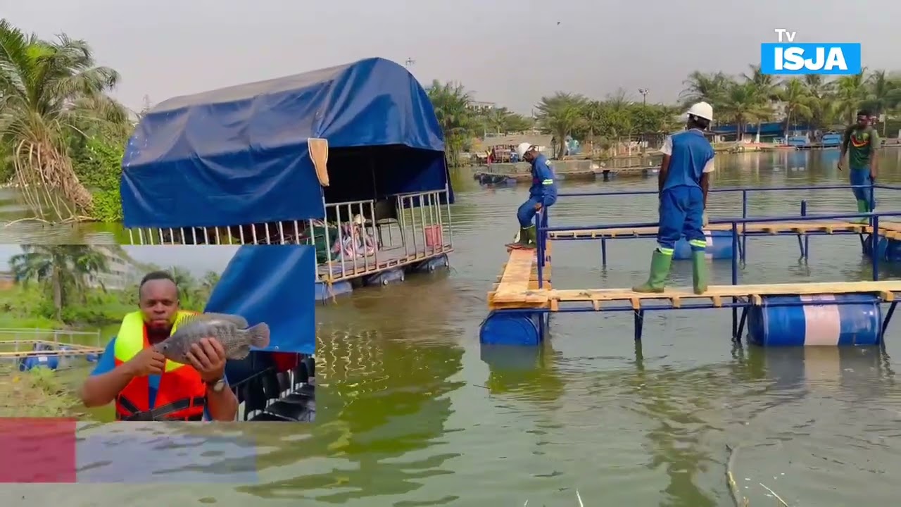 Pisciculture - Mise en eau des cages flottantes pour l'élevage intensif des poissons Tilapias
