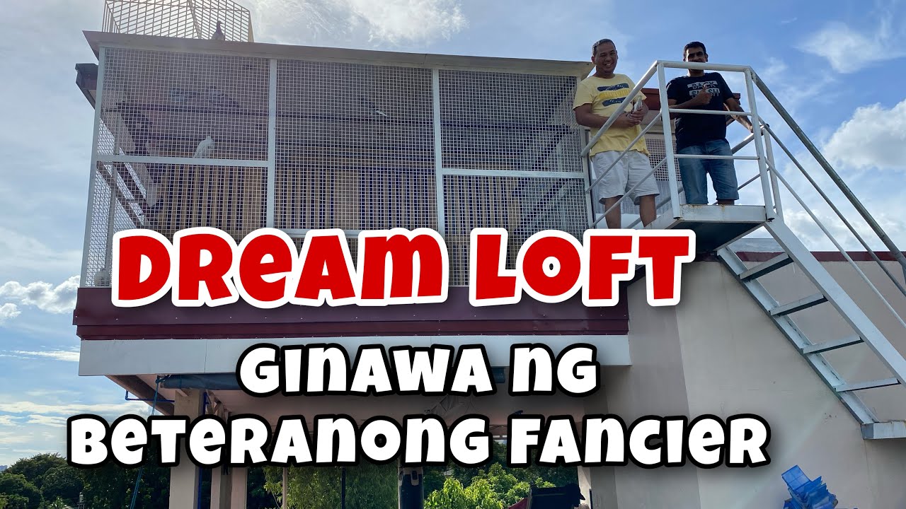 DREAM LOFT, GINAWA NG BETERANONG FANCIER |Reggie Cruz Loft & Aviary #reggiecruzloft
