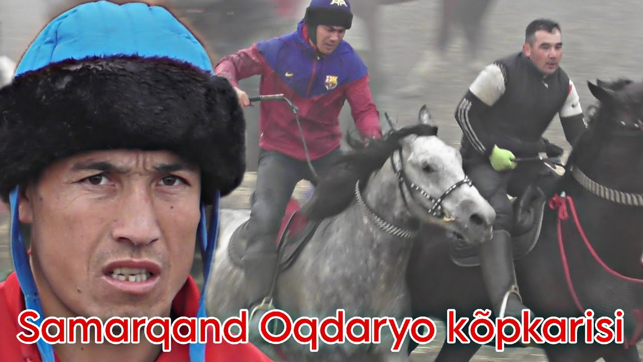 Samarqand viloyati Oqdaryo tumani Yangiqishloq (mfy) ko‘pkarisi (to'liq qism) @Alisher_24