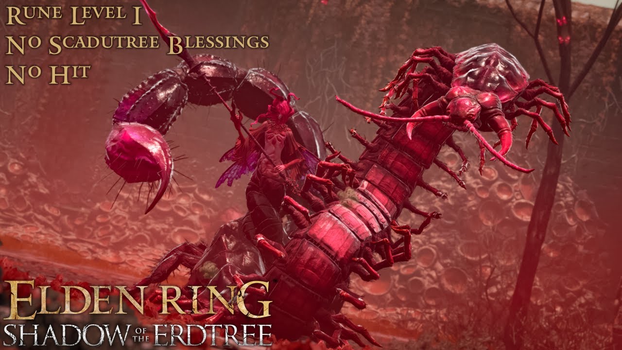 Elden Ring DLC // RL1, No Blessing (No Hit) // Romina, Saint of the Bud