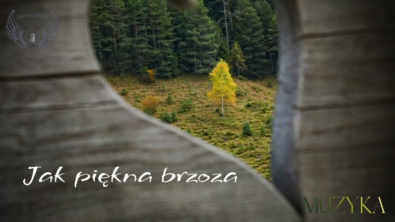 Jak piękna brzoza