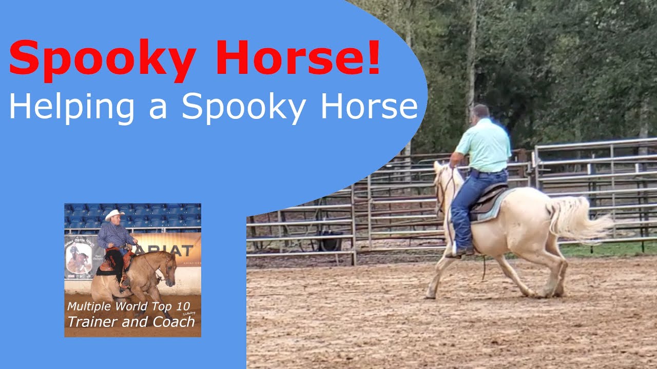 Spooky horse. How to ride a spooky horse.