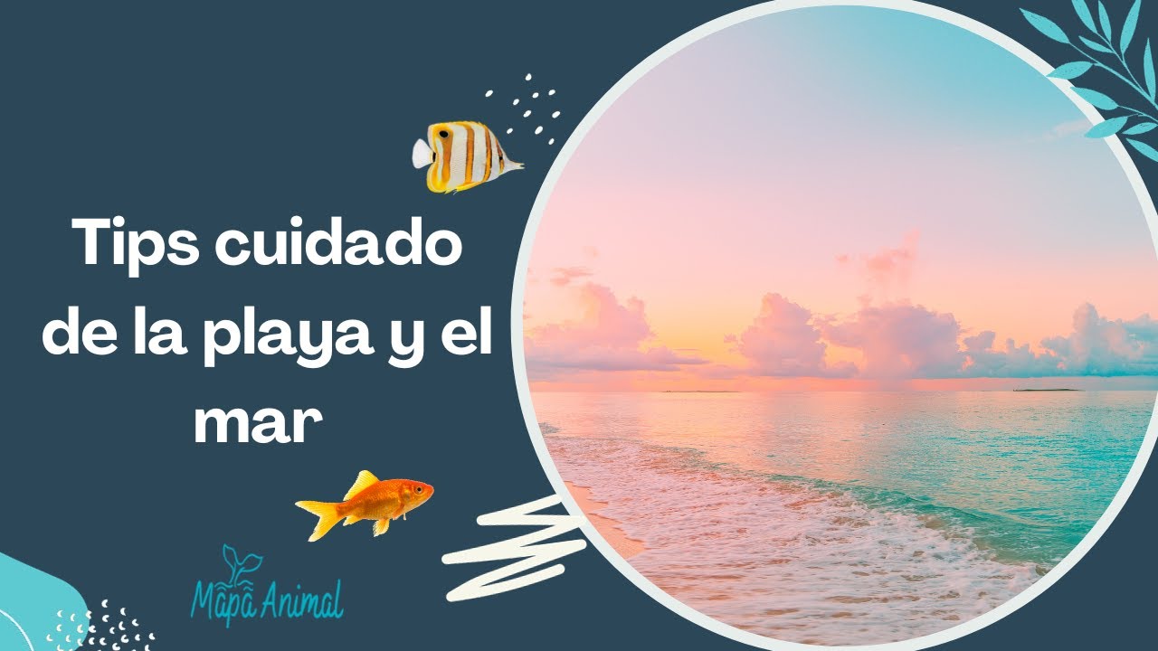 TIPS para el CUIDADO de la PLAYA y el MAR