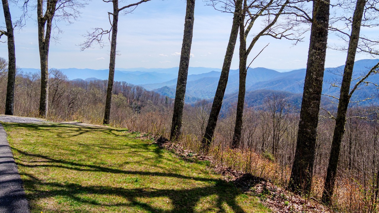 Springtime in the Great Smoky Mountains