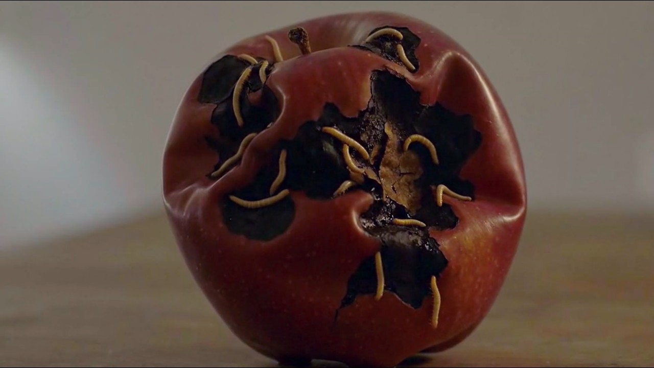 Brain Bound