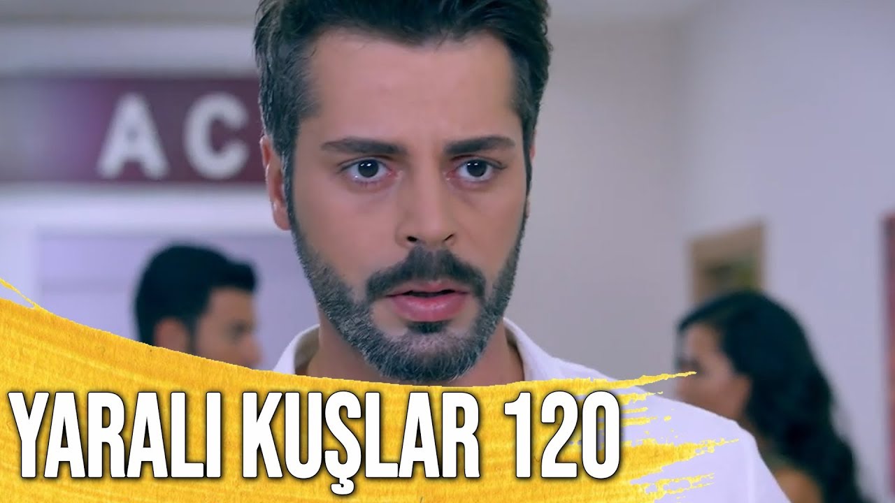 Yaralı Kuşlar 120. Bölüm