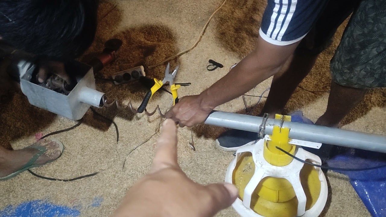 mumetnya service pakan otomatis bekas kandang rubuh