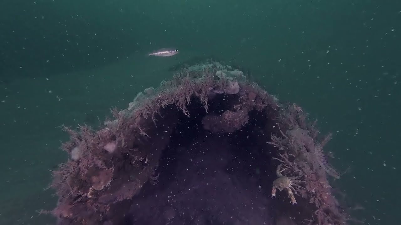 Noordzee wreckdive - Klipper wrak