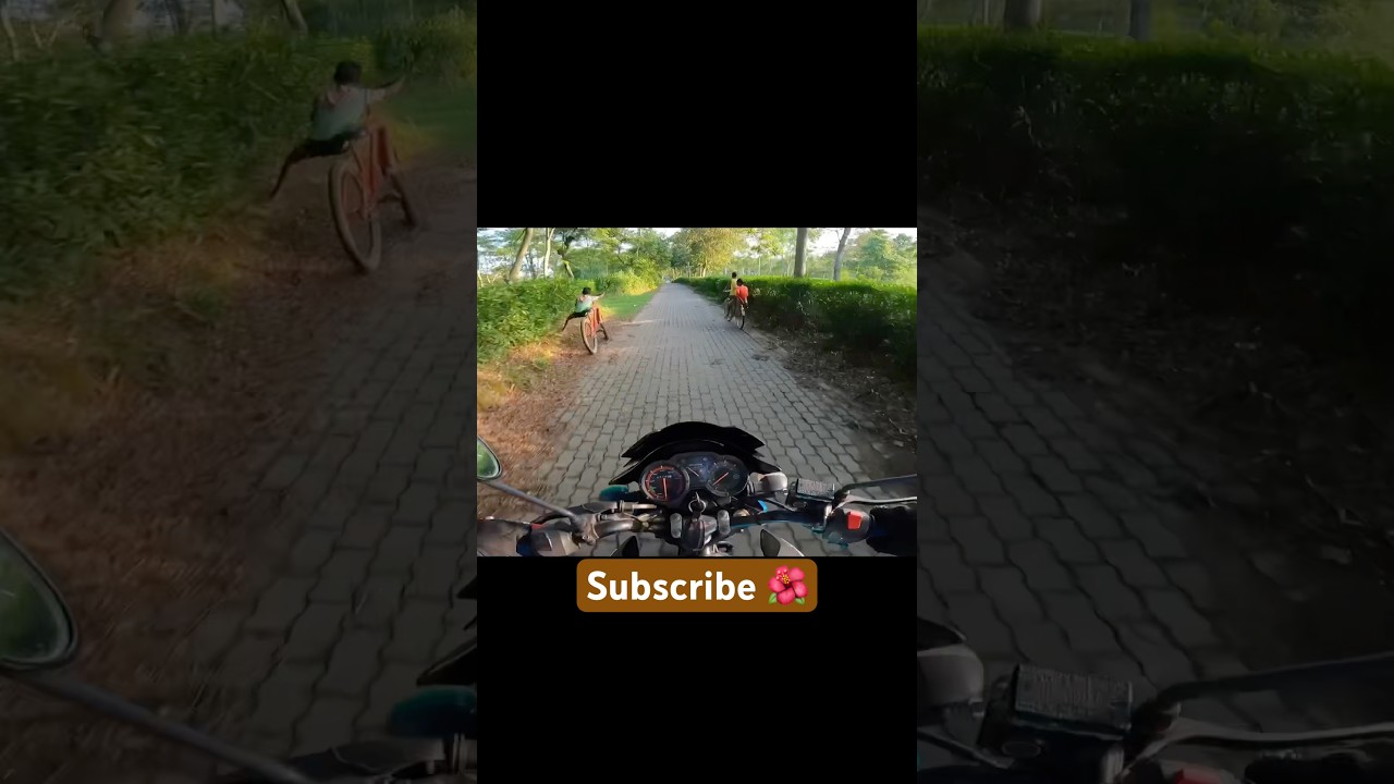 🌺🌺🌺🏍️