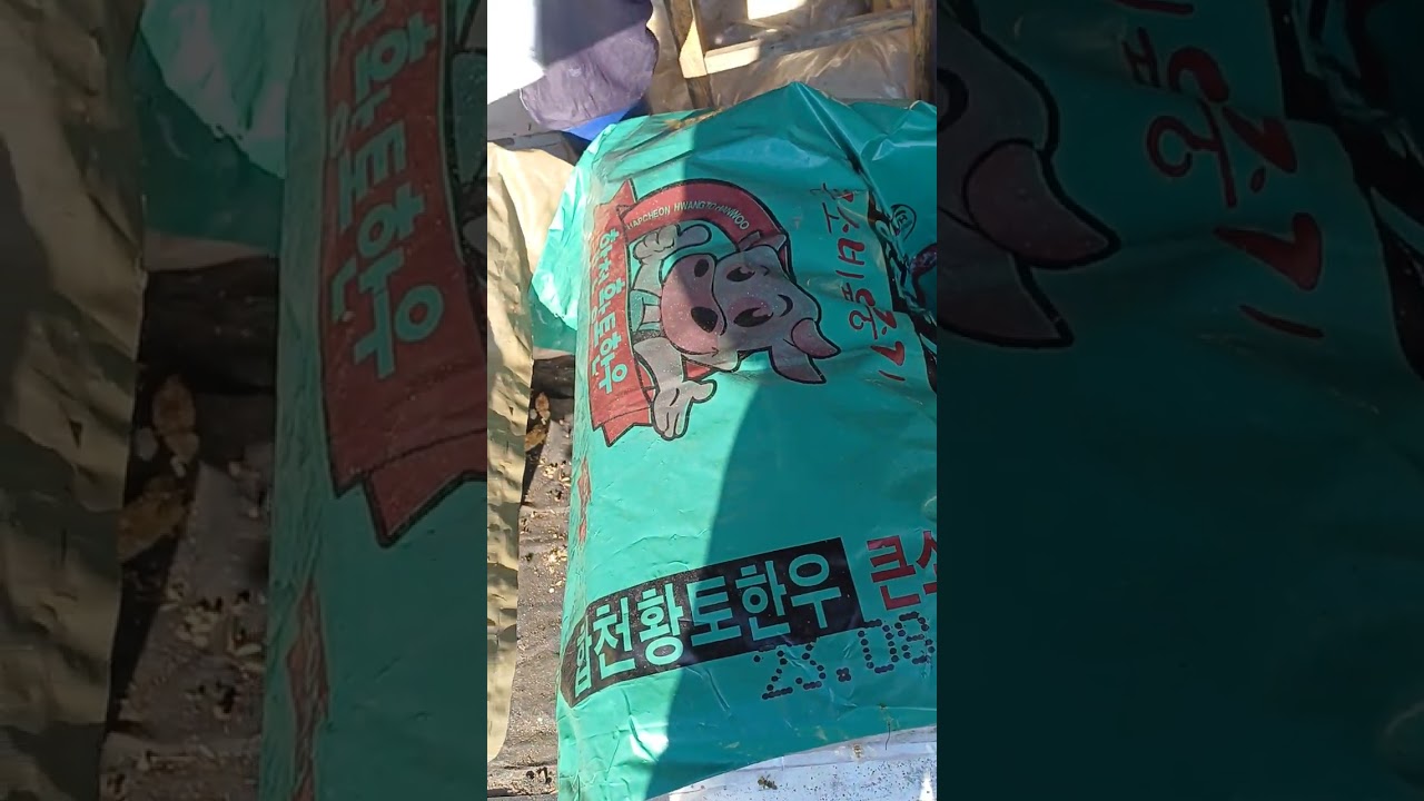 30일 관리에서 키포인트