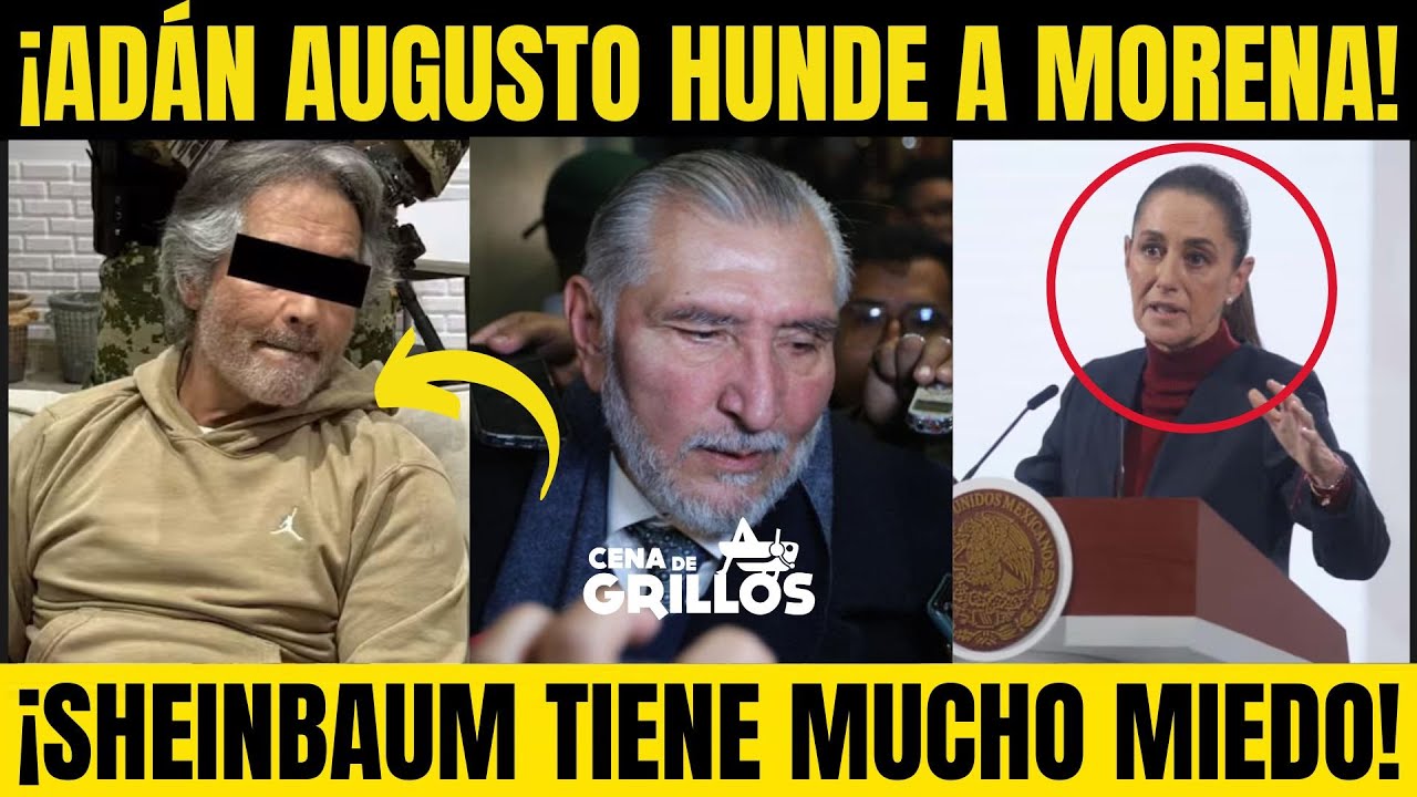 ¡ADÁN AUGUSTO HUNDE a MORENA! ¡SHEINBAUM y OBRADOR ESTÁN en APRIETOS! ¡ARDE la 4T! Cena de Grillos 📱