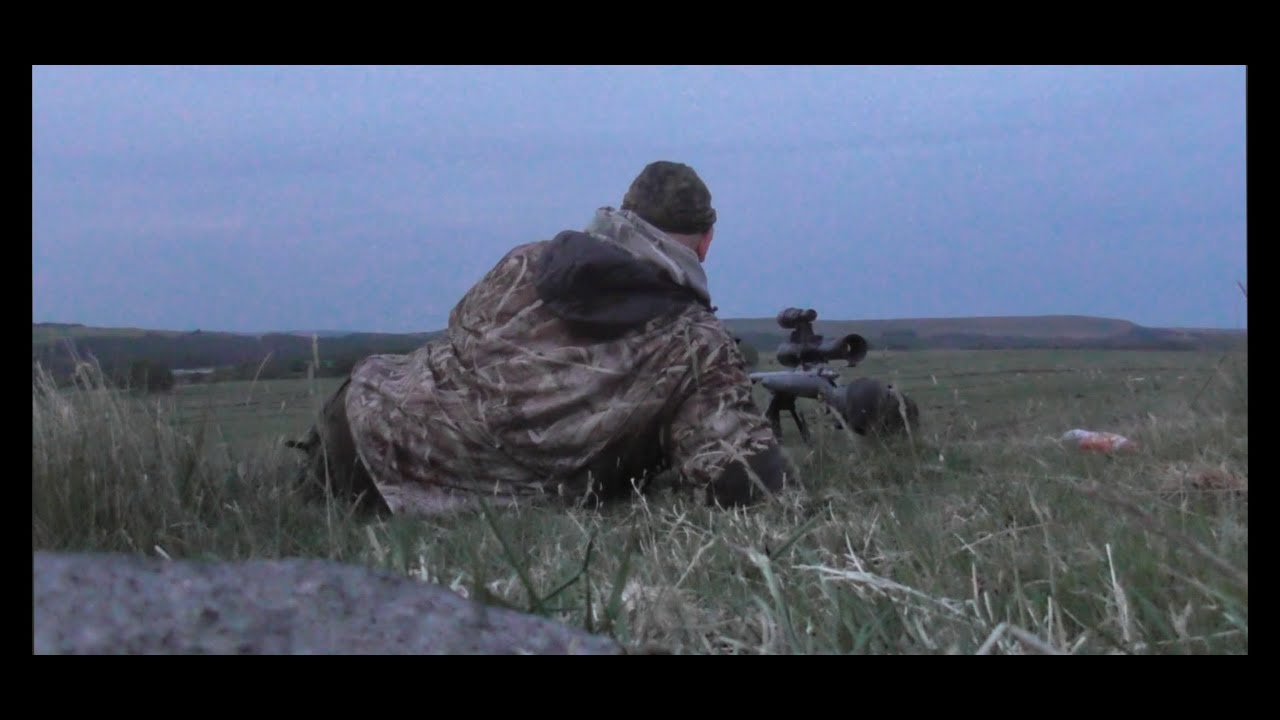 Moorland Lamb Protection Fox Control Sako 75 6ppc