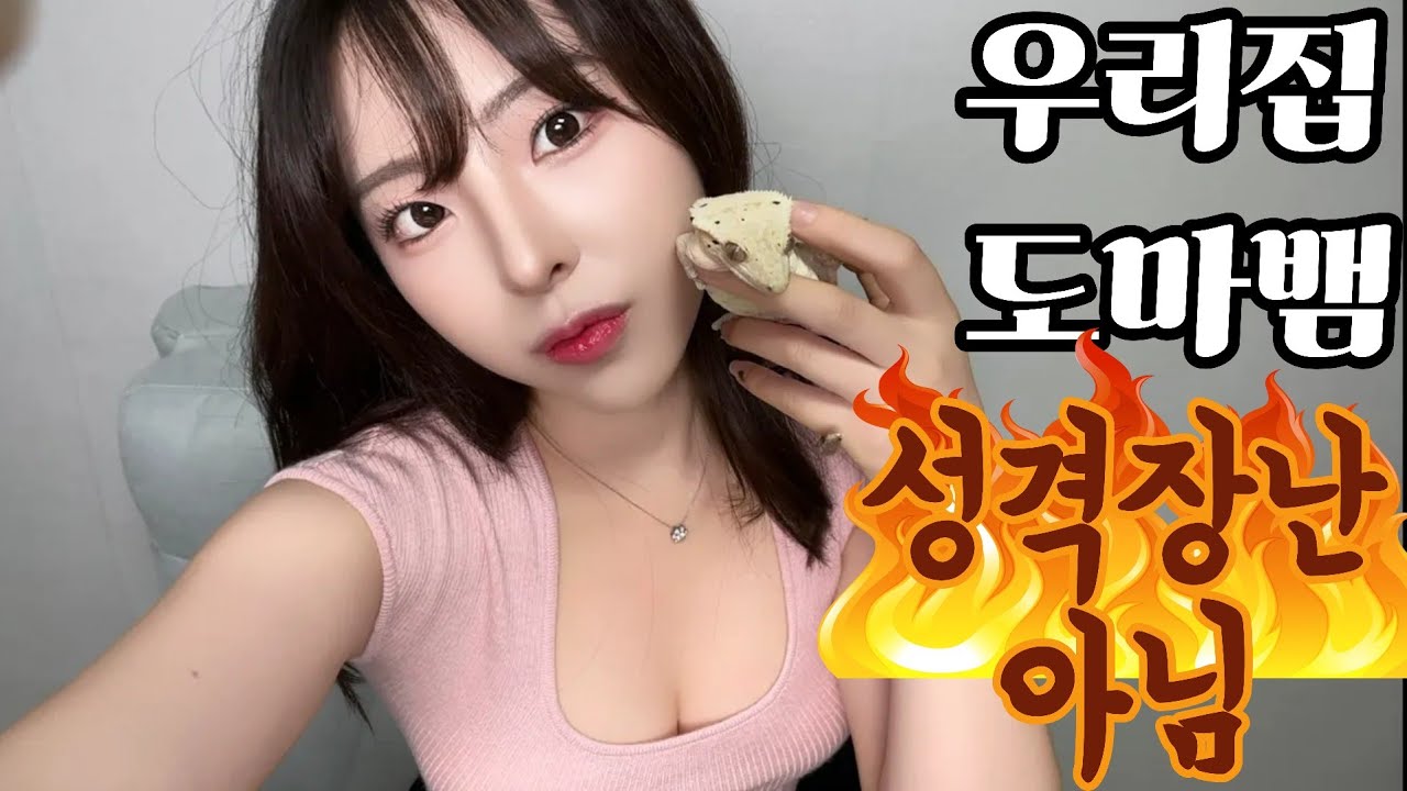 이렇게 귀여운 반려동물 본적있음?? 겨울대비 담금주 만들기