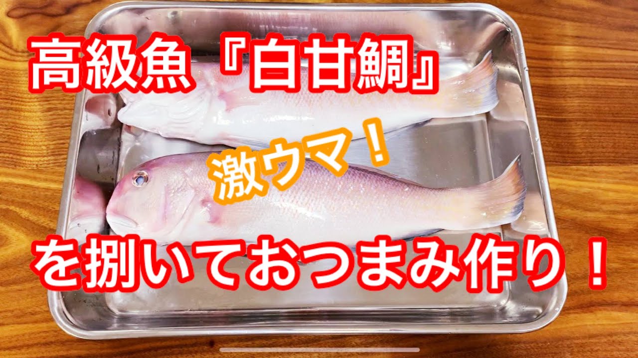 激ウマ！！白甘鯛を捌いておつまみ作り😊