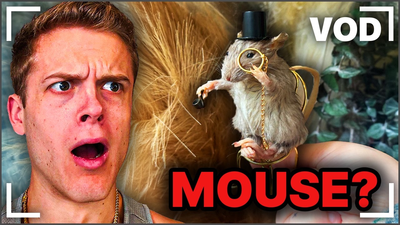 MrBeast React & Reacts Day #455 | Joe Bartolozzi