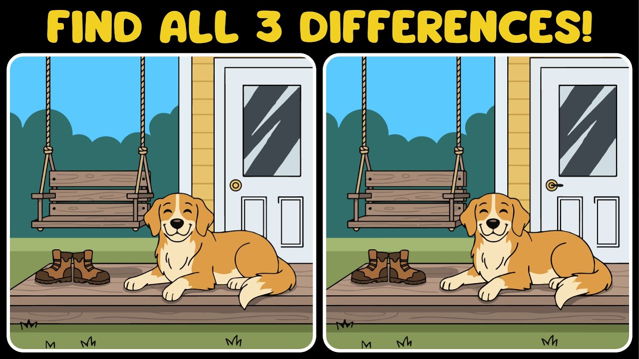Find the Hidden Difference in 90 Seconds : Spot the Difference | Findzzle