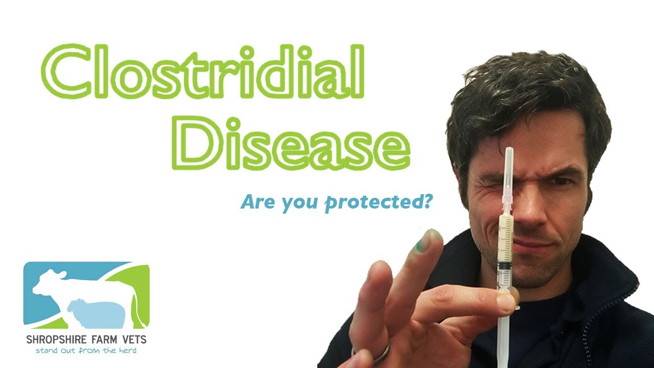 Clostridial Disease - The Silent Killer