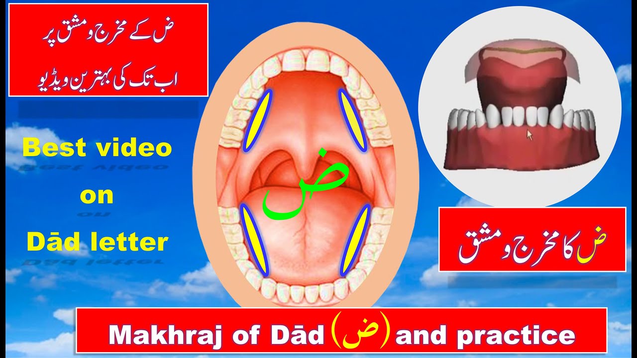 Duad letter makhraj and practice  | Makhraj of Daad letter |  Zuad letter Tajweed | Arabic letters