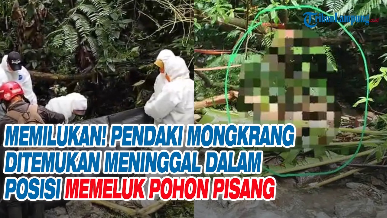 Memilukan! Pendaki Mongkrang Ditemukan Meninggal dalam Posisi Memeluk Pohon Pisang