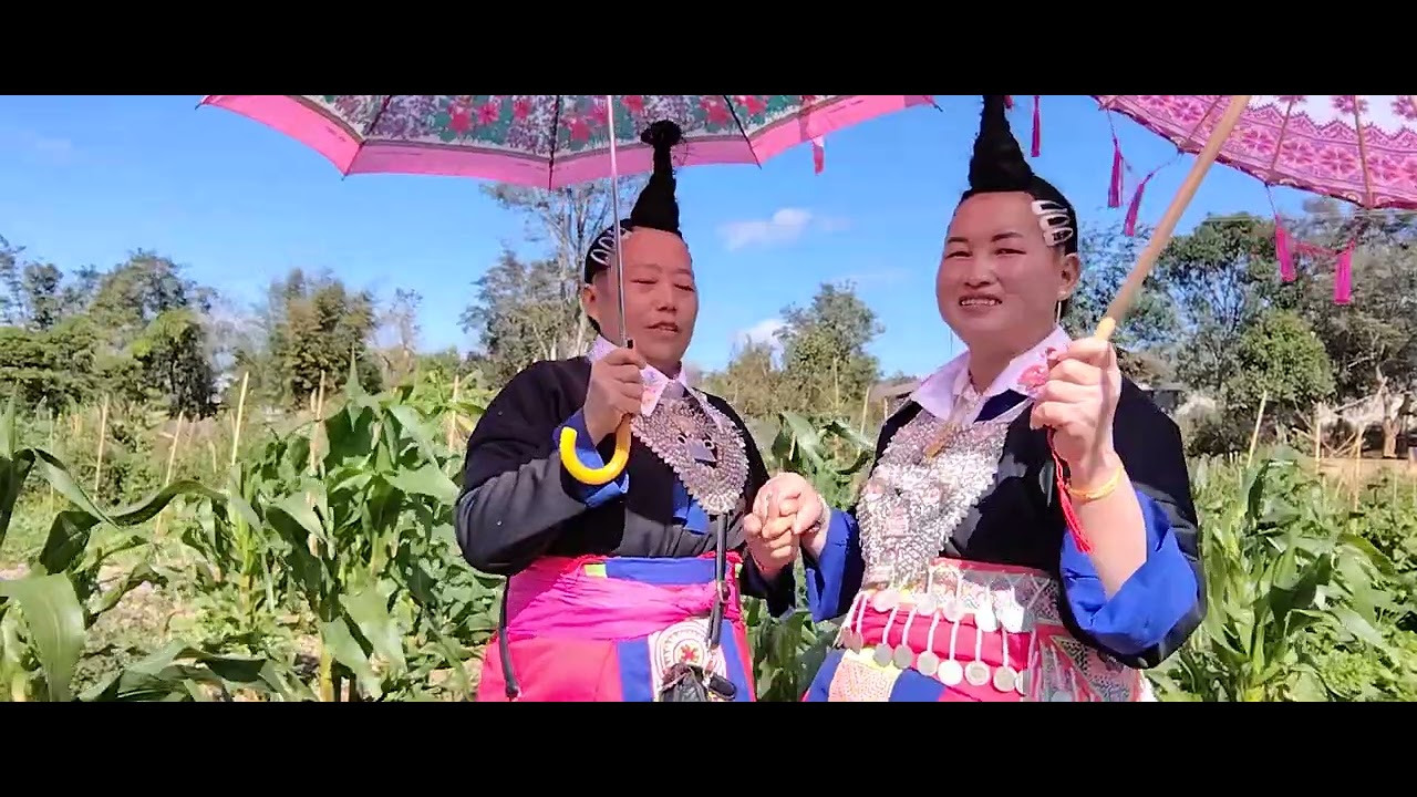 Kwv txhiaj viv ncaus sib ntsib nkauj kiab yaj$pham vwj